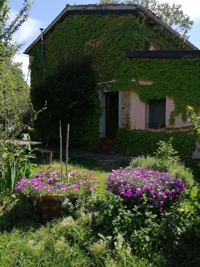 Agriturismo Il Palazzo Villa Brisighella Esterno foto